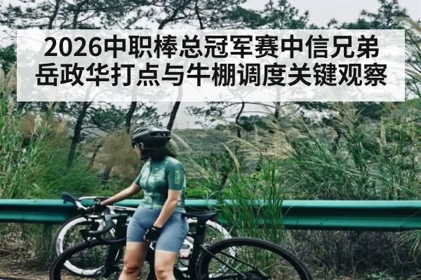 2026中职棒总冠军赛中信兄弟岳政华打点与牛棚调度关键观察